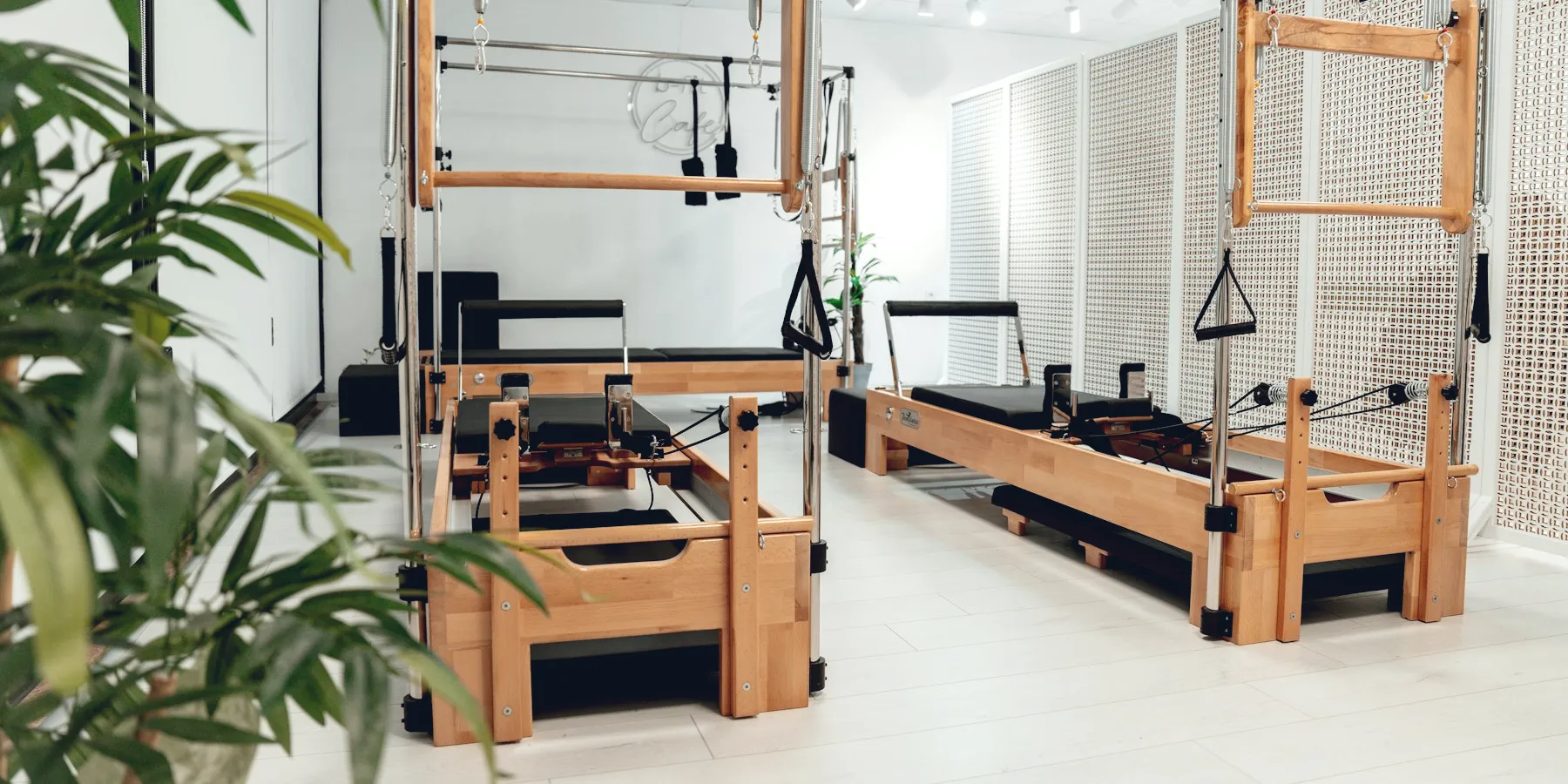 Empty reformer Pilates studio with plants and daylight